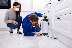 Best Pest Exclusion Services  in Middleport, OH